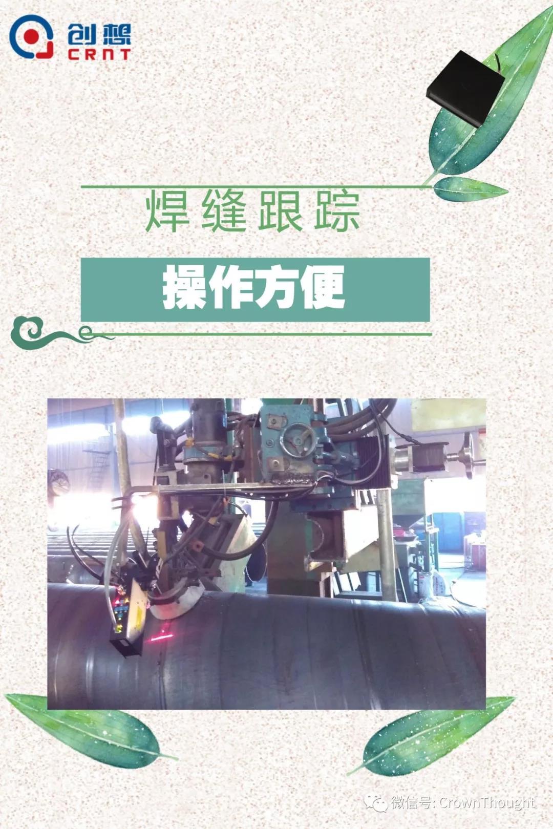 粽葉帶來的不僅僅是粽子，還有...