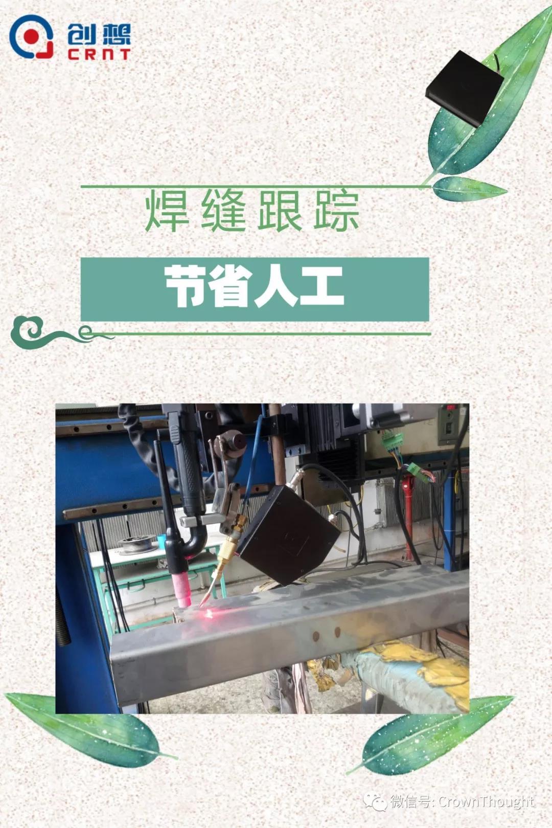 粽葉帶來的不僅僅是粽子，還有...
